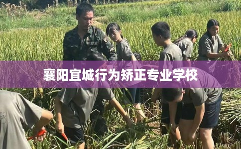襄阳宜城行为矫正专业学校