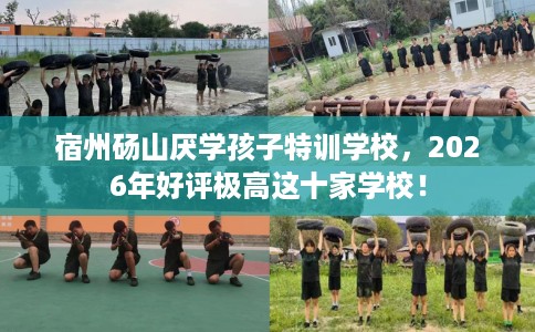 宿州砀山厌学孩子特训学校，2026年好评极高这十家学校！