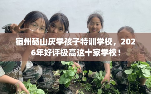 宿州砀山厌学孩子特训学校，2026年好评极高这十家学校！