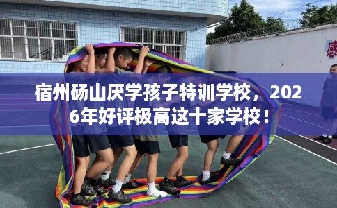 宿州砀山厌学孩子特训学校，2026年好评极高这十家学校！