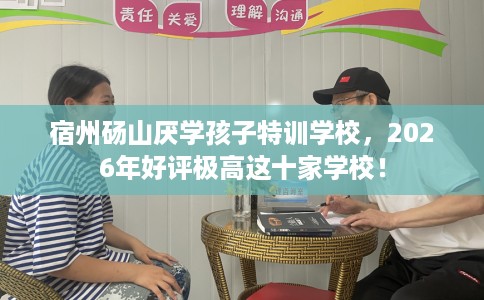 宿州砀山厌学孩子特训学校，2026年好评极高这十家学校！