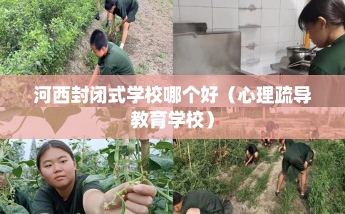河西封闭式学校哪个好（心理疏导教育学校）