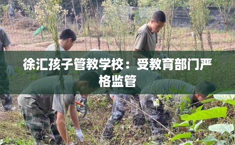 徐汇孩子管教学校：受教育部门严格监管