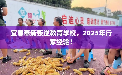 宜春奉新叛逆教育学校，2025年行家经验！