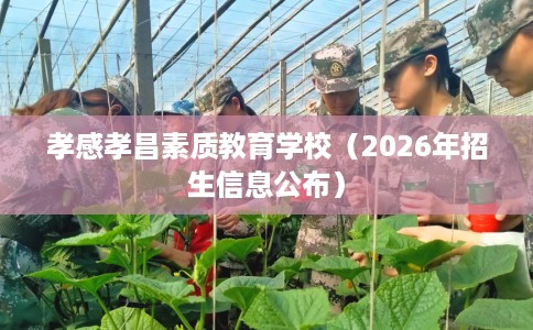孝感孝昌素质教育学校（2026年招生信息公布）