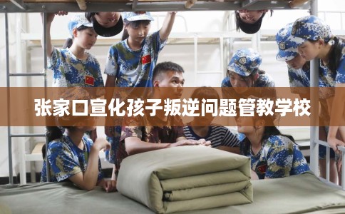 张家口宣化孩子叛逆问题管教学校