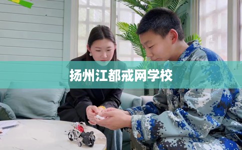 扬州江都戒网学校