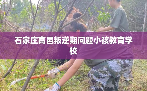 石家庄高邑叛逆期问题小孩教育学校 石家庄高邑叛逆期问题小孩教育学校