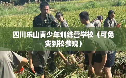四川乐山青少年训练营学校（可免费到校参观）