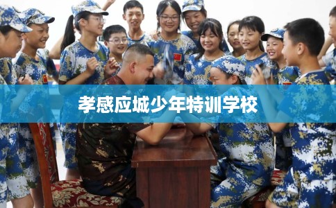 孝感应城少年特训学校