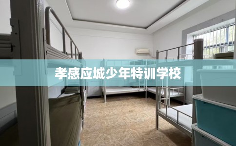 孝感应城少年特训学校