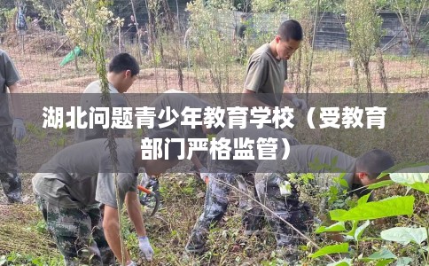 湖北问题青少年教育学校（受教育部门严格监管）