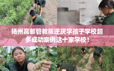 扬州高邮管教叛逆厌学孩子学校超多成功案例这十家学校! 扬州高邮管教叛逆厌学孩子学校超多成功案例这十家学校!