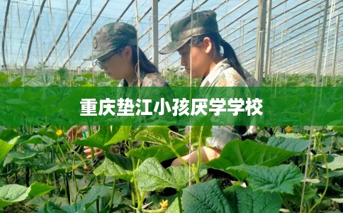 重庆垫江小孩厌学学校