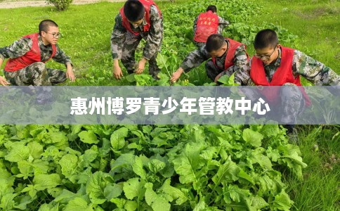 惠州博罗青少年管教中心