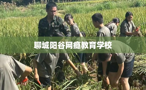 聊城阳谷网瘾教育学校