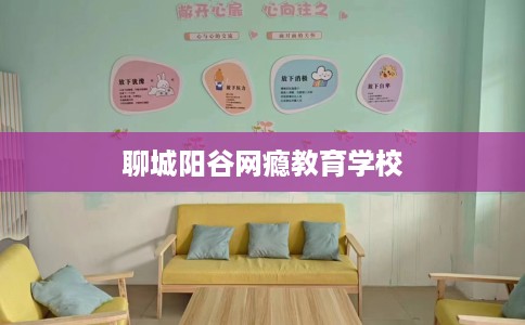 聊城阳谷网瘾教育学校