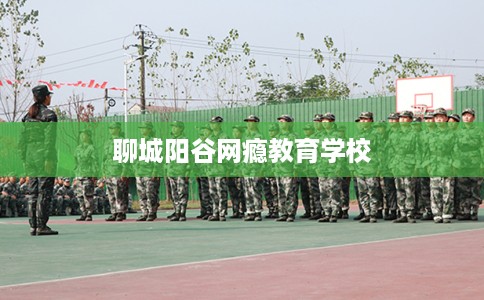 聊城阳谷网瘾教育学校