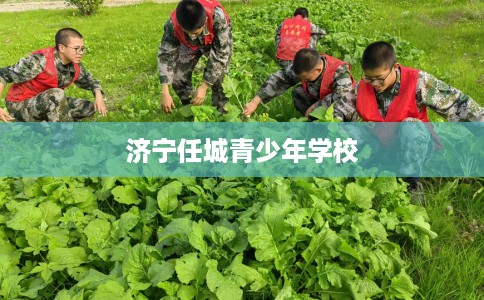 济宁任城青少年学校