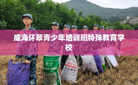 威海环翠青少年培训班特殊教育学校