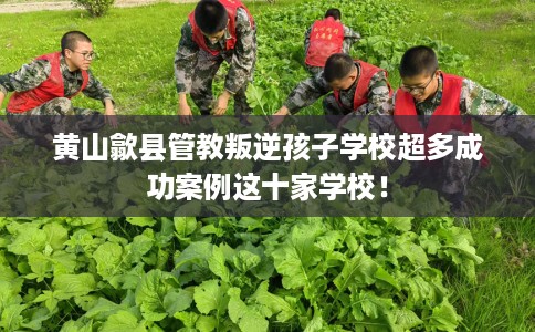 黄山歙县管教叛逆孩子学校超多成功案例这十家学校！