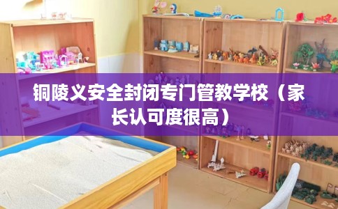 铜陵义安全封闭专门管教学校（家长认可度很高）
