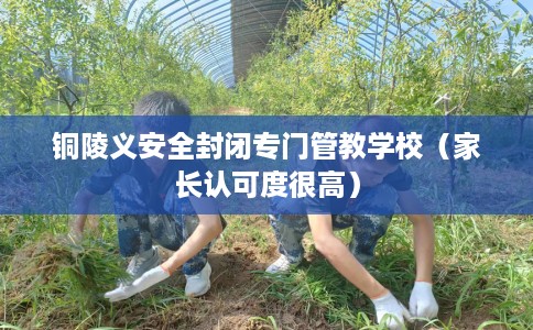 铜陵义安全封闭专门管教学校（家长认可度很高）