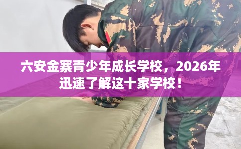 六安金寨青少年成长学校，2026年迅速了解这十家学校！