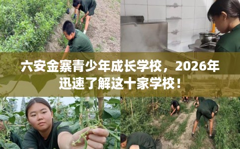 六安金寨青少年成长学校，2026年迅速了解这十家学校！