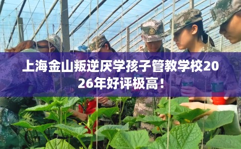 上海金山叛逆厌学孩子管教学校2026年好评极高！