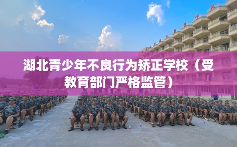 湖北青少年不良行为矫正学校（受教育部门严格监管）