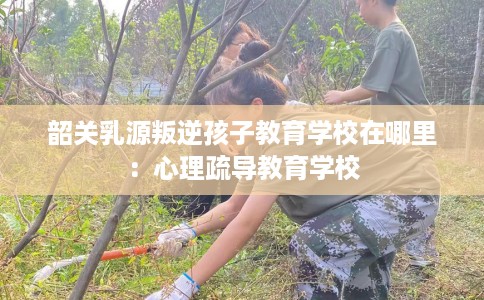 韶关乳源叛逆孩子教育学校在哪里：心理疏导教育学校