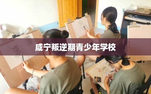咸宁叛逆期青少年学校