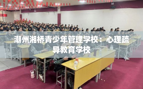 潮州湘桥青少年管理学校：心理疏导教育学校