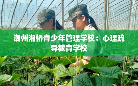 潮州湘桥青少年管理学校：心理疏导教育学校