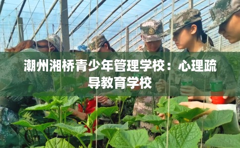 潮州湘桥青少年管理学校：心理疏导教育学校