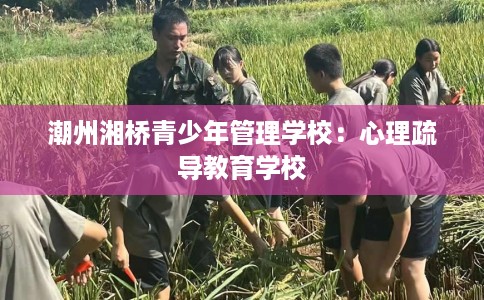 潮州湘桥青少年管理学校：心理疏导教育学校