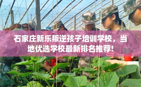 石家庄新乐叛逆孩子培训学校，当地优选学校最新排名推荐!