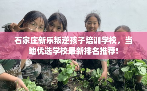 石家庄新乐叛逆孩子培训学校，当地优选学校最新排名推荐!