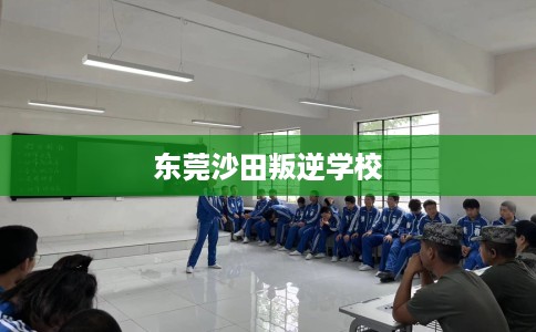 东莞沙田叛逆学校