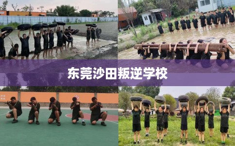 东莞沙田叛逆学校