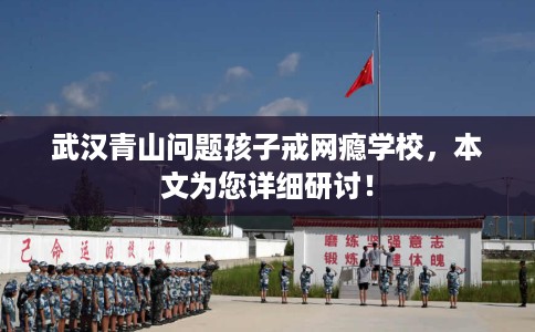 武汉青山问题孩子戒网瘾学校，本文为您详细研讨！