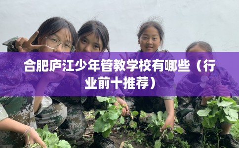 合肥庐江少年管教学校有哪些(行业前十推荐) 合肥庐江少年管教学校有哪些(行业前十推荐)