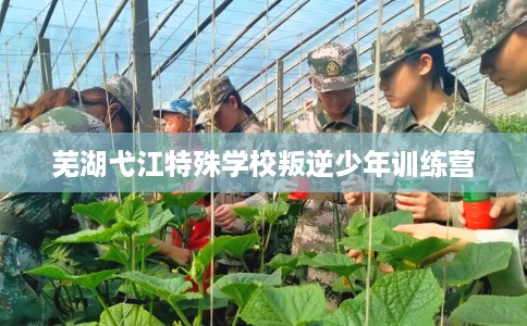 芜湖弋江特殊学校叛逆少年训练营