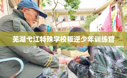 芜湖弋江特殊学校叛逆少年训练营