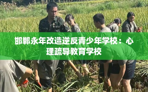 邯郸永年改造逆反青少年学校：心理疏导教育学校