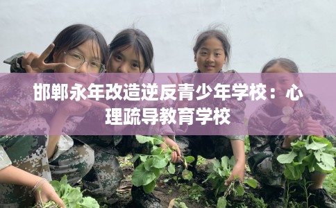 邯郸永年改造逆反青少年学校：心理疏导教育学校