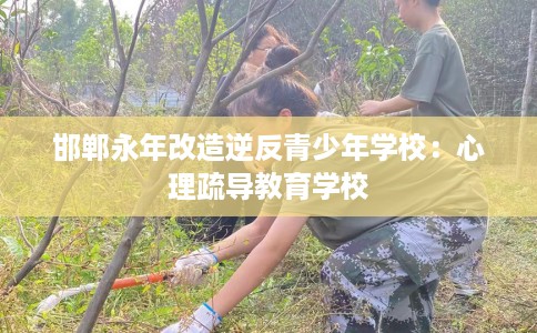 邯郸永年改造逆反青少年学校：心理疏导教育学校