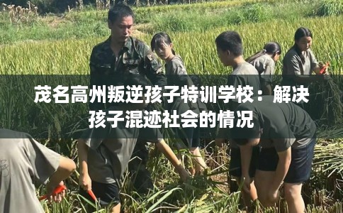 茂名高州叛逆孩子特训学校：解决孩子混迹社会的情况