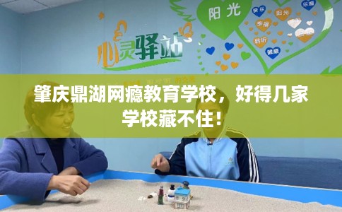 肇庆鼎湖网瘾教育学校，好得几家学校藏不住！